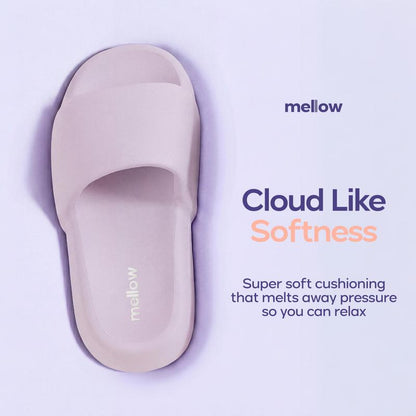MellowSoft Cloud Slides